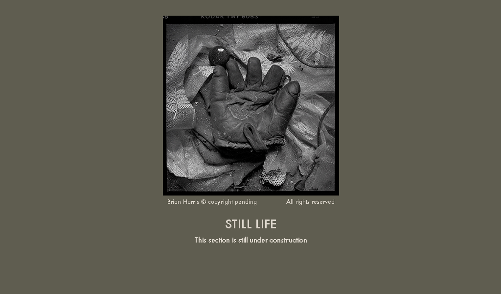 Still Life